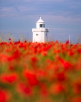 Poppy Lighthouse