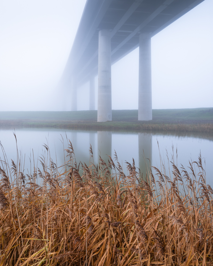 Sheppey Crossing and reeds. Kent
